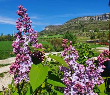 Souspierre Villa | Gîte des Falaises 10 à 12 personnes