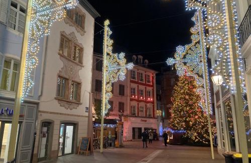 Mulhouse Apartment | Gîte des Victoires