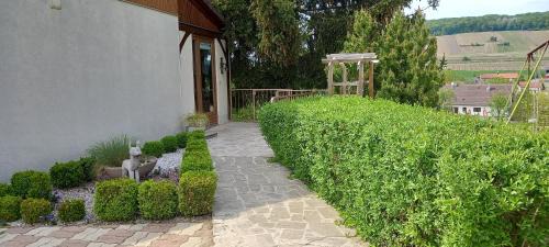 Festigny House | Gîte du bel air