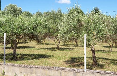 Saint-Christol-Les-Ales Apartment | Gîte et piscine l'écrin aux oliviers en Cévennes