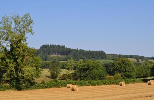 Pouligny-Notre-Dame House | Gîte familial au calme avec grand jardin, balnéo et loisirs nautiques à proximité - FR-1-591-134