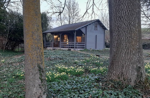 Vincelles Ski Chalet | Gîte in a large garden in a peaceful village