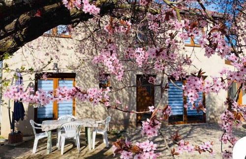 Chatenois House | Gîte Magnolia châtenois (detached house 80 m2 with private garden)