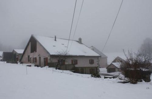 Girmont-Val-d'Ajol House | Gîte paisible à 650m d'alt., nature, cheminée, 3 ch. près de Remiremont & Plombières, terrasse, grand terrain - FR-1-589-50