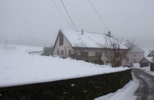 Girmont-Val-d'Ajol House | Gîte paisible à 650m d'alt., nature, cheminée, 3 ch. près de Remiremont & Plombières, terrasse, grand terrain - FR-1-589-50