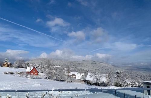 Labaroche Villa | Gîte "Villa Belle Vie"