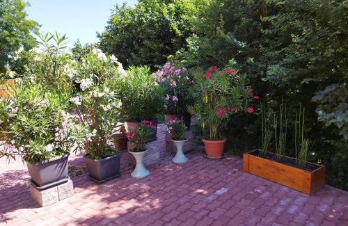 Gonyu Apartment | Gönyüi álom kuckó