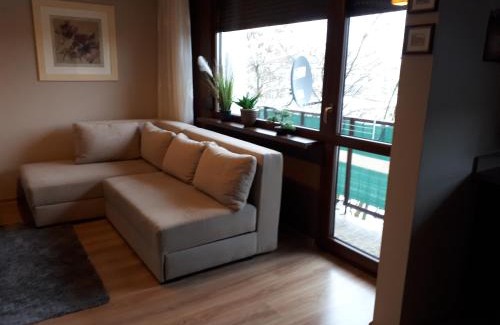 Glogow Apartment | Głogów przy Morcinka