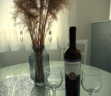 Mostar Apartment | Gagro stan