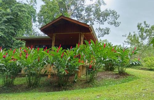 Penas Blancas House | Gambas Lodge