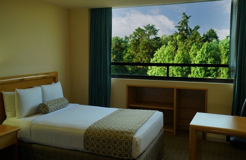 Xalapa Hotel | Gamma by Fiesta Americana Xalapa Nubara