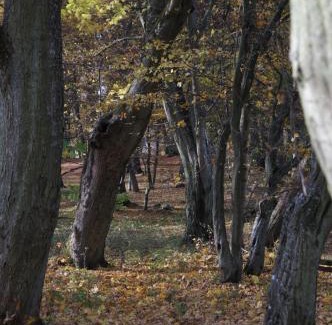 gmina Siemysl House | Gandelinka Park Kędrzyno