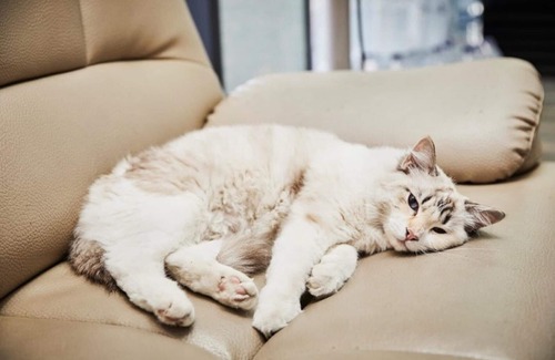 Gangneung House | Gangneung Refresh Pension