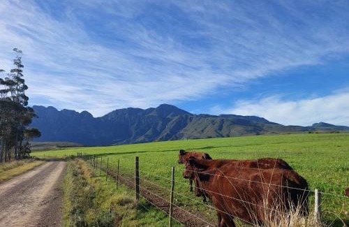 Riviersonderend House | Ganskraal Farm Cottage