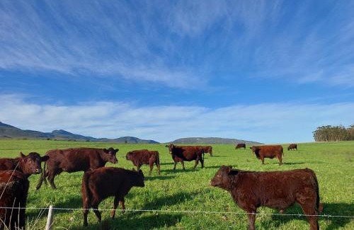 Riviersonderend House | Ganskraal Farm Cottage