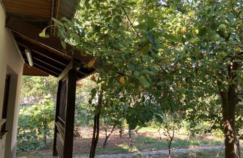 Tirgu Jiu Apartment | Garden apartments in Targu-Jiu