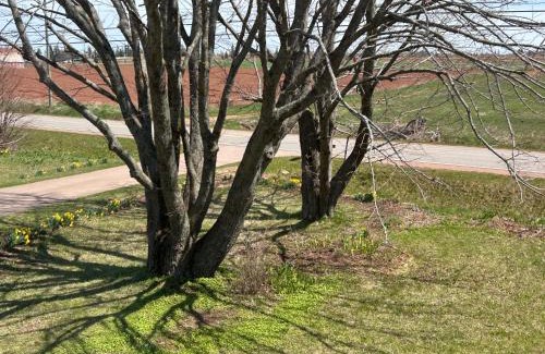 Borden-Carleton Apartment | Garden View near Confederation Bridge and Beaches