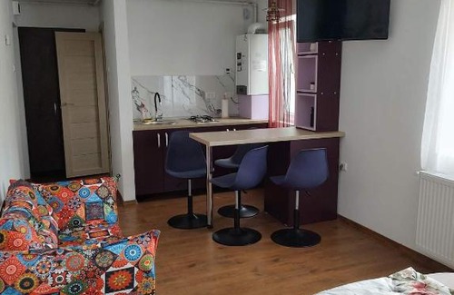 Tirgu Ocna Apartment | GARSONIERA DANIA&PETRU 1