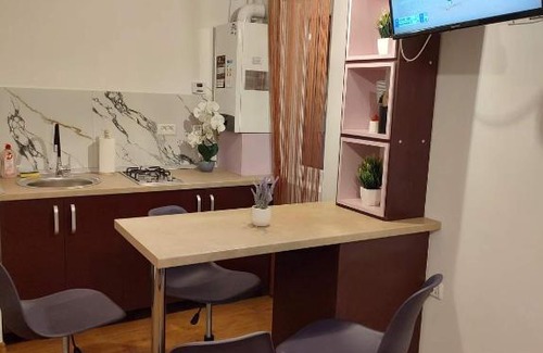 Tirgu Ocna Apartment | GARSONIERA DANIA&PETRU 1