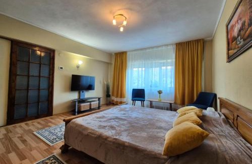 Dragasani Apartment | Garsoniera Drăgășani