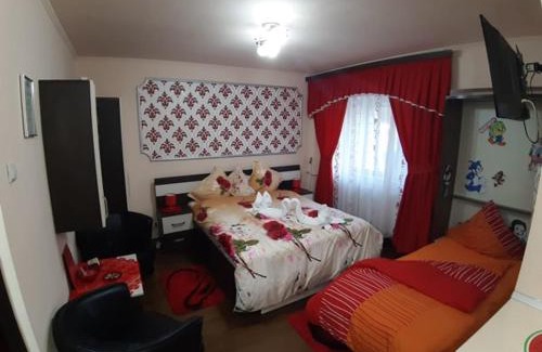 Baile Felix Apartment | Garsoniera Lorelai