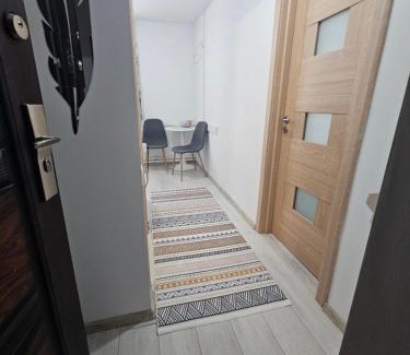 Ramnicu Valcea Apartment | Garsoniera