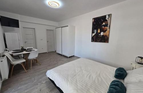 Bistrita Apartment | Garsoniera zona ISU Bistrita