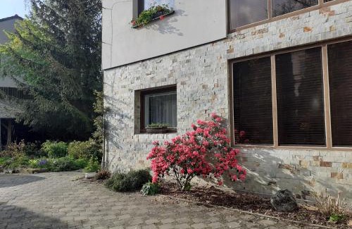 Jilove u Prahy Apartment | Garsonka