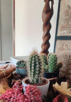 Vitoria-Gasteiz Apartment | Gasteiz Etxea Il