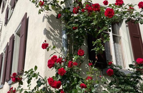Donat Bed & Breakfast | Gasthaus Beverin