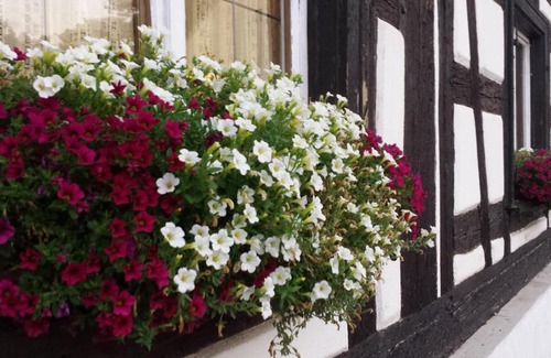 Neufra House | Gasthaus Rössle