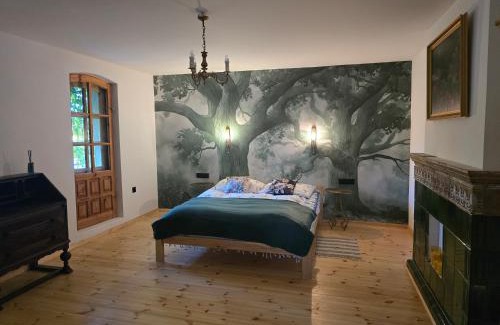 Czarna Dabrowka Apartment | Gasthaus Rokitnik