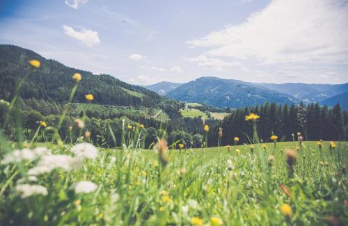 Stanz Im Murztal Hotel | Gasthof Oberer Gesslbauer