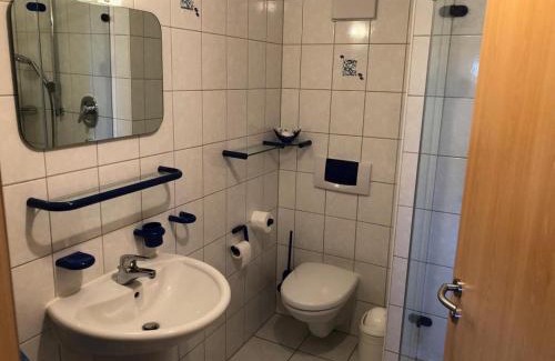 Sachsenheim Hotel | Gasthof zum Hirsch