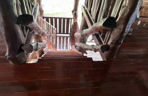 Nong Chaeng House | Gavin House