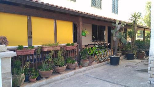 Villaggio Resta Apartment | Gecko's House