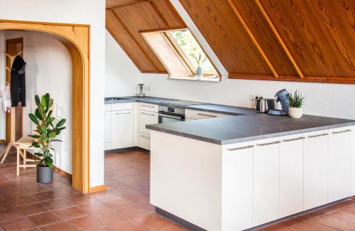 Biberach an der Riss Apartment | Gemütliche Galerie-Wohnung in Biberach