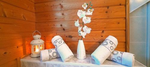 Tannenbergsthal Apartment | Gemütliches Apartment am Gottesberg