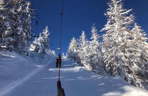 Frischg House | Gemütliches Bergappartement mit Seeblick
