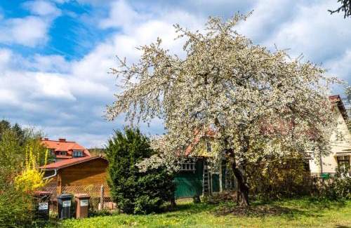 Gars am Kamp House | Gemütliches, heimeliges Ferienhaus