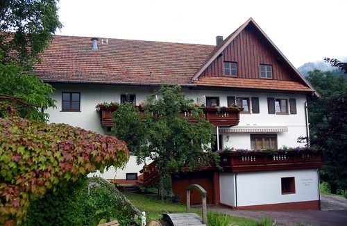 Busterbach Apartment | Gemütliches und modernes Einzelzimmer, mit Sitzecke, Sat-TV, Badezimmer und Balkon mit Talblick