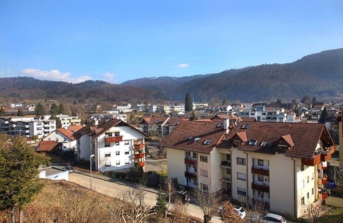Wehr Apartment | Gemütliches Zimmer mit TV und Gemeinschaftsbad
