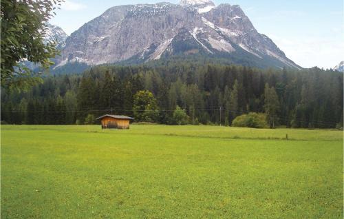 Ehrwald Apartment | Gemuetliche Ferienwohnung