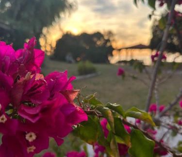 Pyrgos Apartment | Genari Beach Apartments -Family sea view apartment