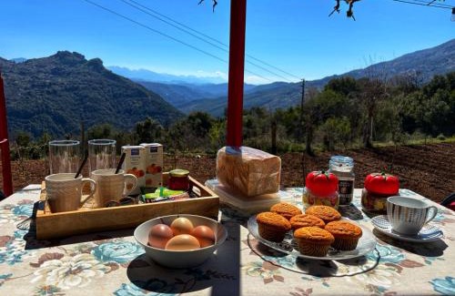 North Tzoumerka House | Georgaras Accommodation