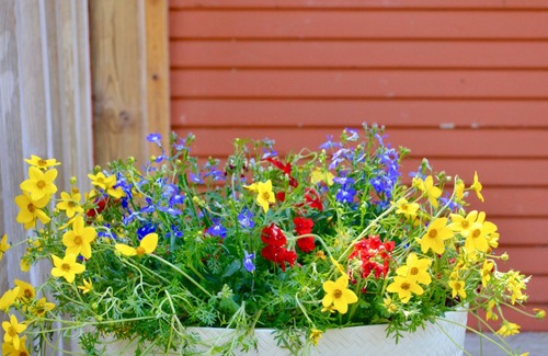 Baileys Harbor Cottage | Get away from it all at this charming updated cottage!