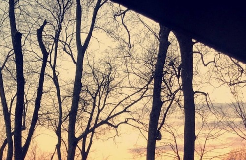 Rogersville House | Get away from the hustle of everyday life with a beautiful river front retreat