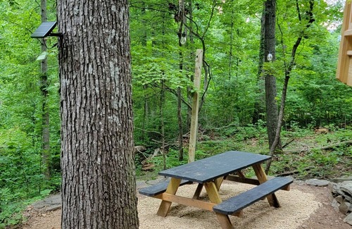 Swannanoa Cabin | Get back to nature! Unique cabin in the mountains 15 minutes from Asheville N.C.