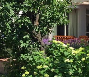 Csolnok House | Gete Vendégház