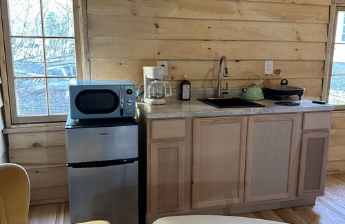 Williamstown Cabin | Gggs cabin, enjoy your time in the woods by the salmon river in Williamstown NY